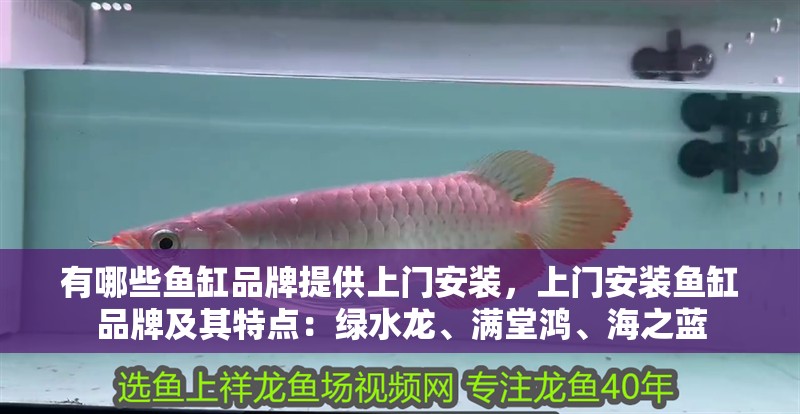 有哪些魚缸品牌提供上門安裝,上門安裝魚缸品牌及其特點:綠水龍、滿堂鴻、海之藍