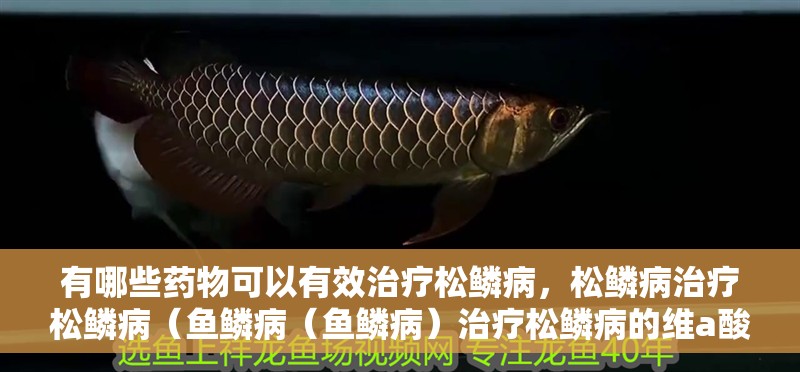 有哪些藥物可以有效治療松鱗病，松鱗病治療松鱗?。~鱗病（魚鱗?。┲委熕慎[病的維a酸類藥物