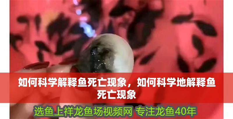 如何科學解釋魚死亡現象，如何科學地解釋魚死亡現象