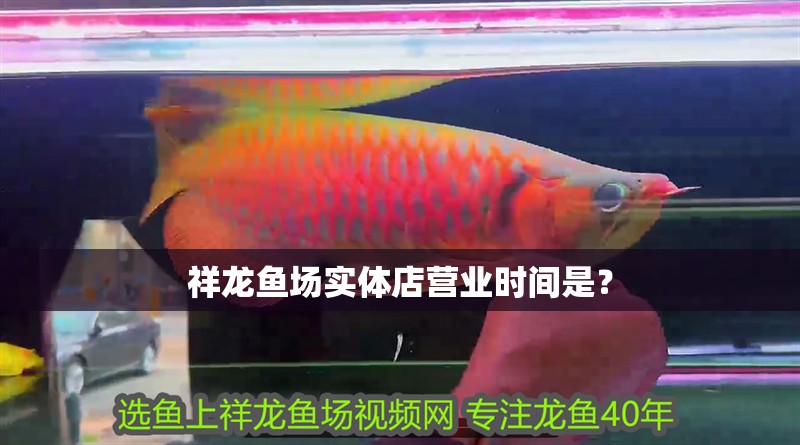 祥龍魚場實體店營業時間是？