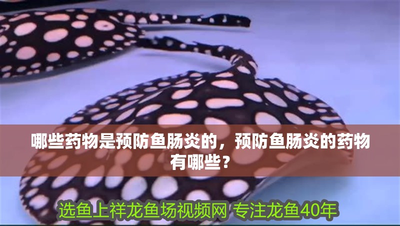 哪些藥物是預(yù)防魚腸炎的，預(yù)防魚腸炎的藥物有哪些？