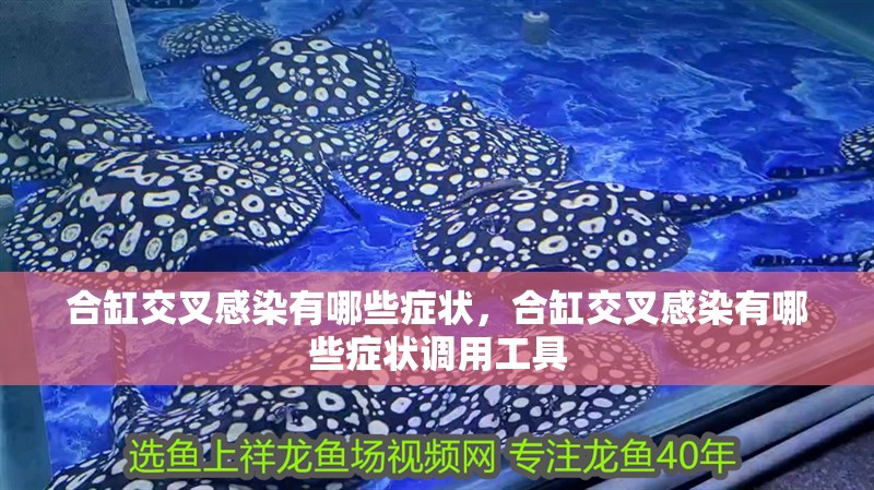 合缸交叉感染有哪些癥狀，合缸交叉感染有哪些癥狀調用工具