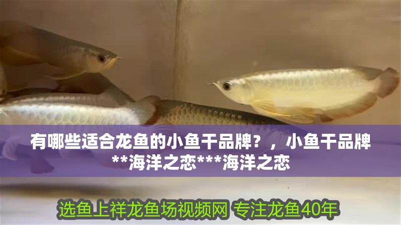 有哪些適合龍魚的小魚干品牌？，小魚干品牌**海洋之戀***海洋之戀
