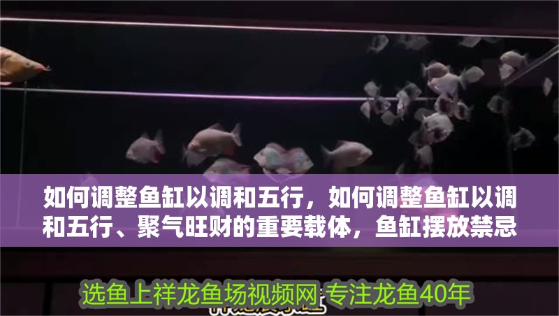 如何調(diào)整魚缸以調(diào)和五行，如何調(diào)整魚缸以調(diào)和五行、聚氣旺財(cái)?shù)闹匾d體，魚缸擺放禁忌