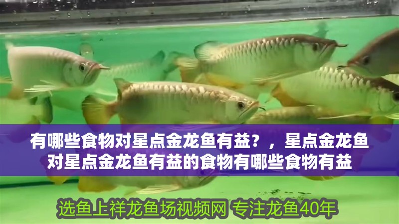 有哪些食物對(duì)星點(diǎn)金龍魚有益？，星點(diǎn)金龍魚對(duì)星點(diǎn)金龍魚有益的食物有哪些食物有益