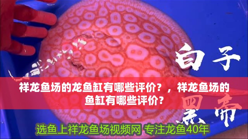 祥龍魚場的龍魚缸有哪些評價？，祥龍魚場的魚缸有哪些評價？