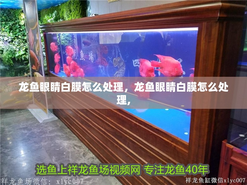 龍魚眼睛白膜怎么處理，龍魚眼睛白膜怎么處理,