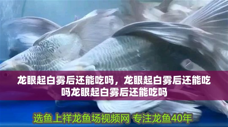 龍眼起白霧后還能吃嗎，龍眼起白霧后還能吃嗎龍眼起白霧后還能吃嗎