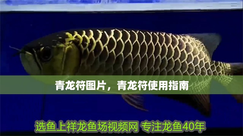 青龍符圖片，青龍符使用指南