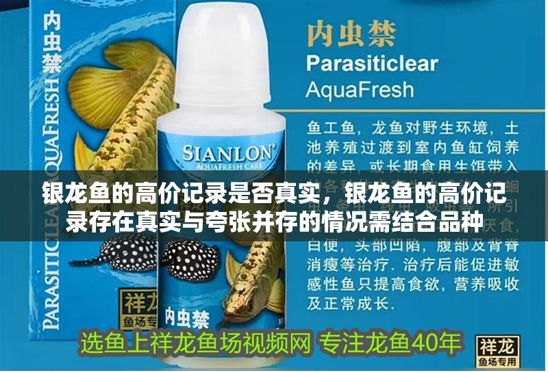 銀龍魚的高價記錄是否真實，銀龍魚的高價記錄存在真實與夸張并存的情況需結合品種