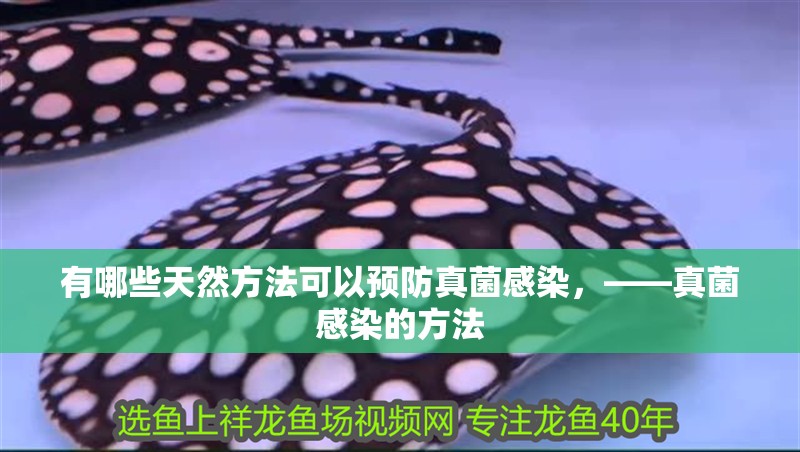 有哪些天然方法可以預防真菌感染，——真菌感染的方法