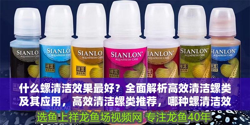 什么螺清潔效果最好？全面解析高效清潔螺類及其應(yīng)用，高效清潔螺類推薦，哪種螺清潔效果最佳？ 什么螺清潔效果最好？全面解析高效清潔螺類及其應(yīng)用，高效清潔螺類推薦，哪種螺清潔效果最佳？ 龍魚百科 第1張