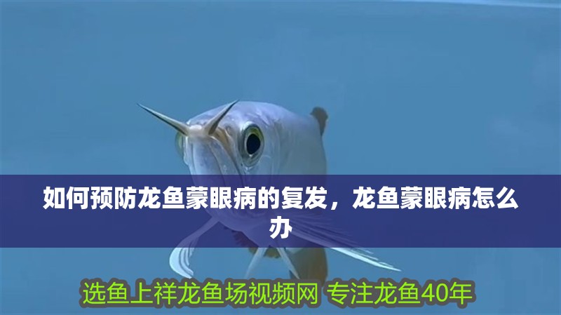 如何預防龍魚蒙眼病的復發(fā)，龍魚蒙眼病怎么辦