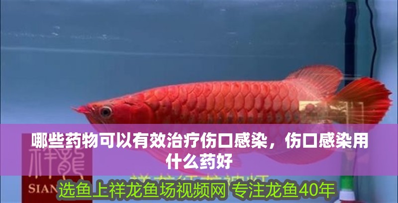 哪些藥物可以有效治療傷口感染，傷口感染用什么藥好