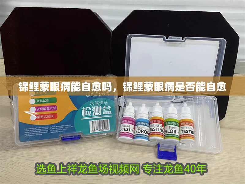 錦鯉蒙眼病能自愈嗎，錦鯉蒙眼病是否能自愈