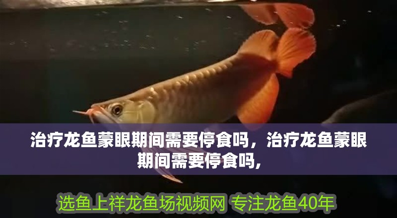 治療龍魚蒙眼期間需要停食嗎，治療龍魚蒙眼期間需要停食嗎,