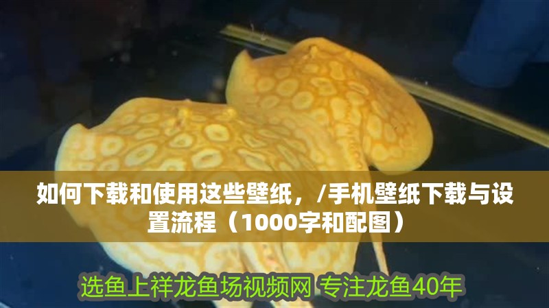 如何下載和使用這些壁紙，/手機壁紙下載與設置流程（1000字和配圖）