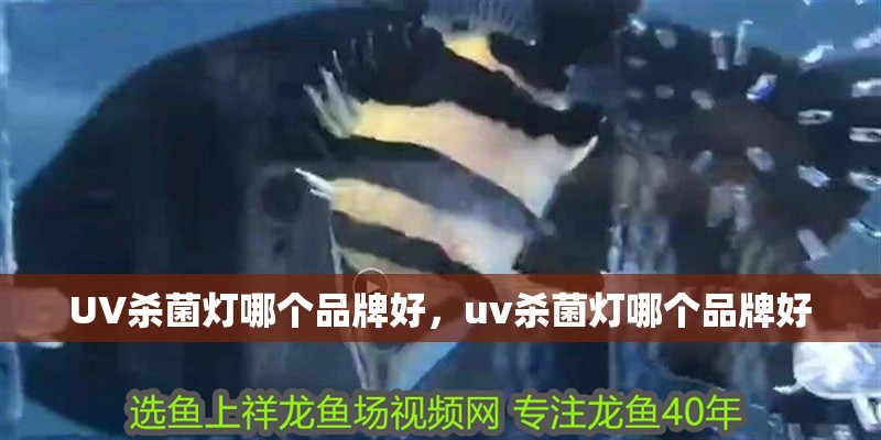UV殺菌燈哪個品牌好，uv殺菌燈哪個品牌好