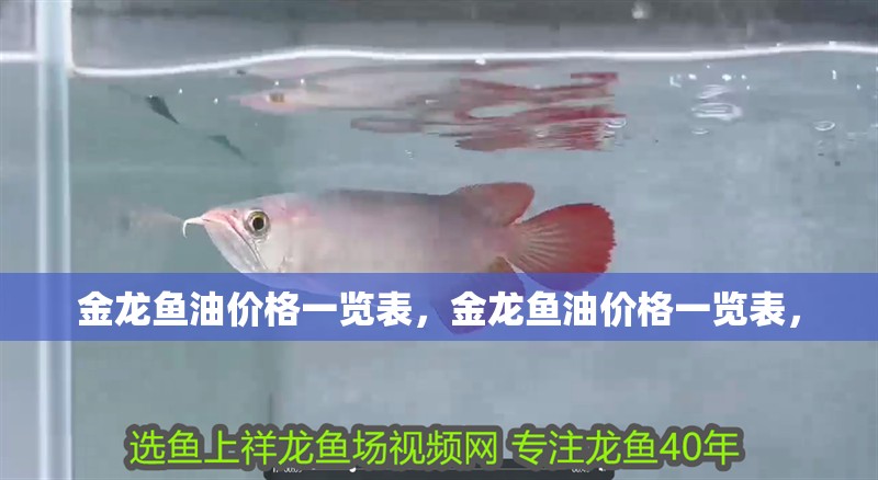 金龍魚(yú)油價(jià)格一覽表，金龍魚(yú)油價(jià)格一覽表，