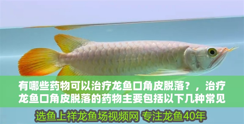 有哪些藥物可以治療龍魚口角皮脫落？，治療龍魚口角皮脫落的藥物主要包括以下幾種常見情況