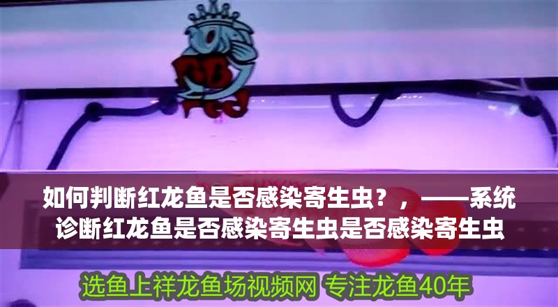 如何判斷紅龍魚是否感染寄生蟲？，——系統診斷紅龍魚是否感染寄生蟲是否感染寄生蟲