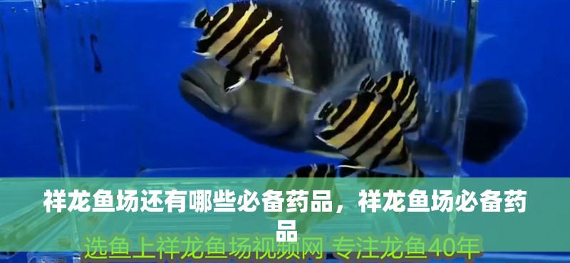 祥龍魚場(chǎng)還有哪些必備藥品，祥龍魚場(chǎng)必備藥品