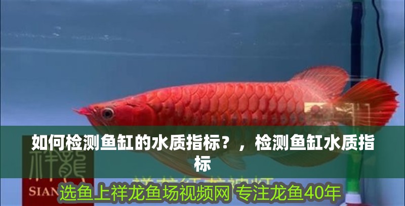 如何檢測魚缸的水質指標？，檢測魚缸水質指標