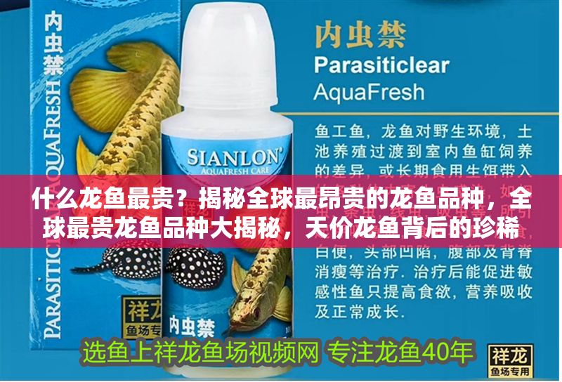 什么龍魚最貴?揭秘全球最昂貴的龍魚品種,全球最貴龍魚品種大揭秘,天價龍魚背后的珍稀基因與市場神話 龍魚百科 第1張 什么龍魚最貴?揭秘全球最昂貴的龍魚品種,全球最貴龍魚品種大揭秘,天價龍魚背后的珍稀基因與市場神話 什么龍魚最貴?揭秘全球最昂貴的龍魚品種,全球最貴龍魚品種大揭秘,天價龍魚背后的珍稀基因與市場神話 龍魚百科 第1張