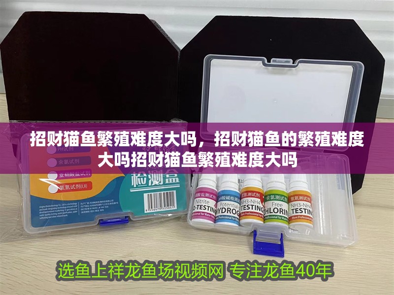 招財貓魚繁殖難度大嗎，招財貓魚的繁殖難度大嗎招財貓魚繁殖難度大嗎