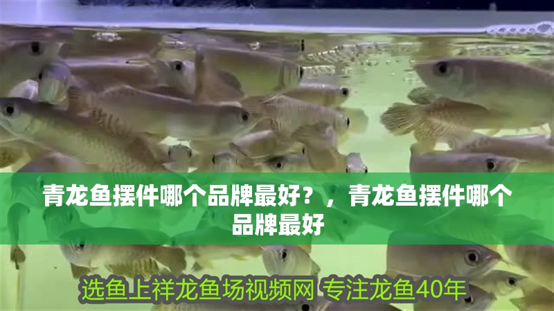 青龍魚擺件哪個品牌最好？，青龍魚擺件哪個品牌最好