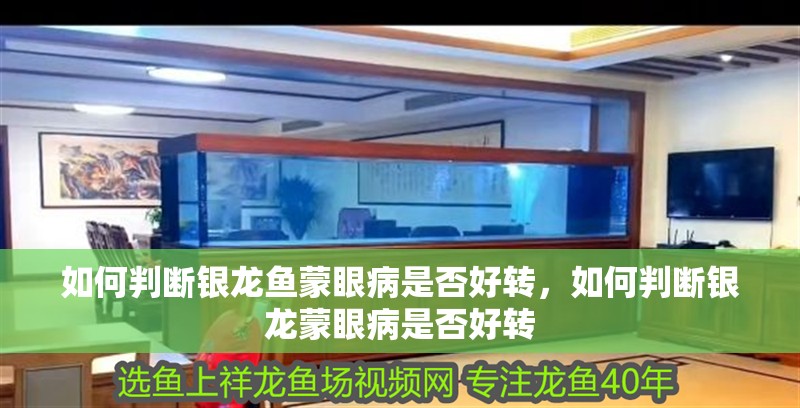 如何判斷銀龍魚蒙眼病是否好轉(zhuǎn)，如何判斷銀龍蒙眼病是否好轉(zhuǎn)