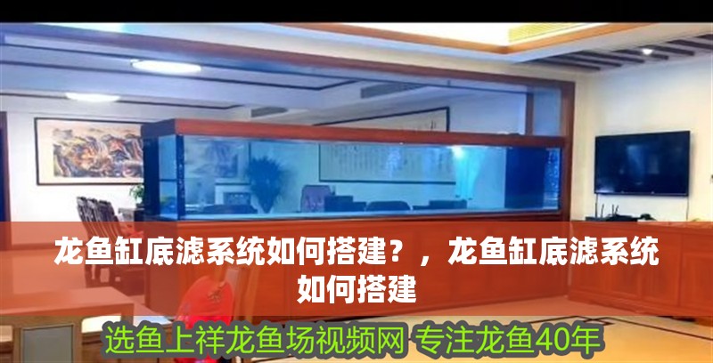 龍魚缸底濾系統如何搭建？，龍魚缸底濾系統如何搭建