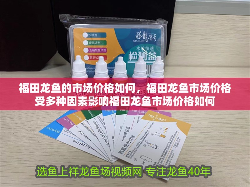 福田龍魚的市場價格如何，福田龍魚市場價格受多種因素影響福田龍魚市場價格如何