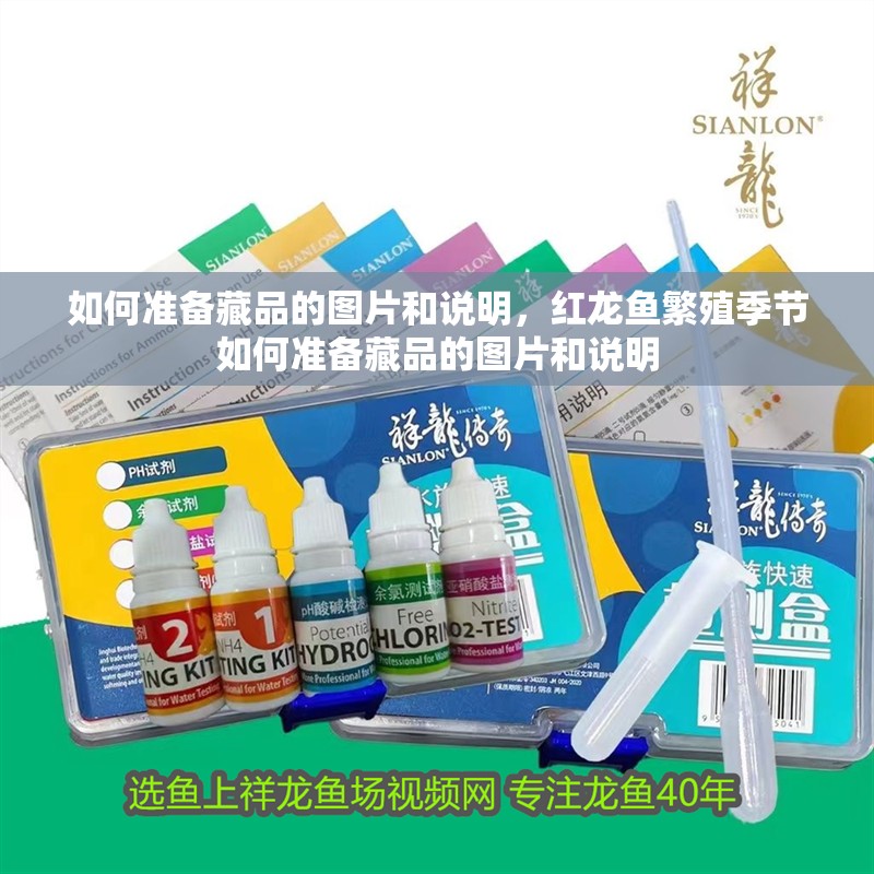 如何準(zhǔn)備藏品的圖片和說明，紅龍魚繁殖季節(jié)如何準(zhǔn)備藏品的圖片和說明