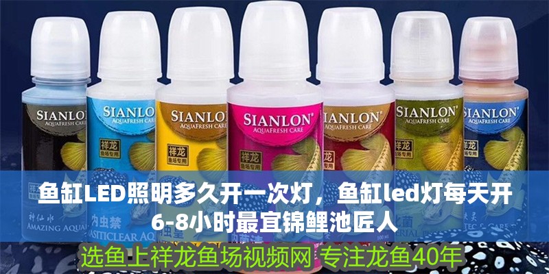 魚缸LED照明多久開一次燈，魚缸led燈每天開6-8小時最宜錦鯉池匠人