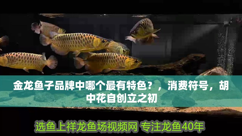 金龍魚子品牌中哪個最有特色？，消費符號，胡中花自創立之初