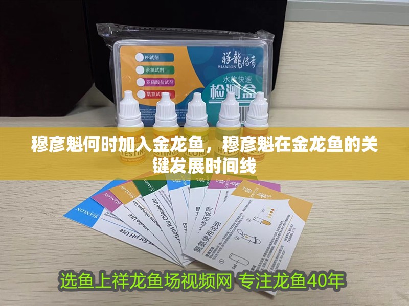 穆彥魁何時加入金龍魚，穆彥魁在金龍魚的關鍵發展時間線