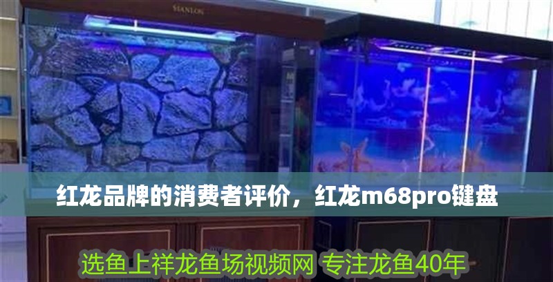 紅龍品牌的消費者評價，紅龍m68pro鍵盤
