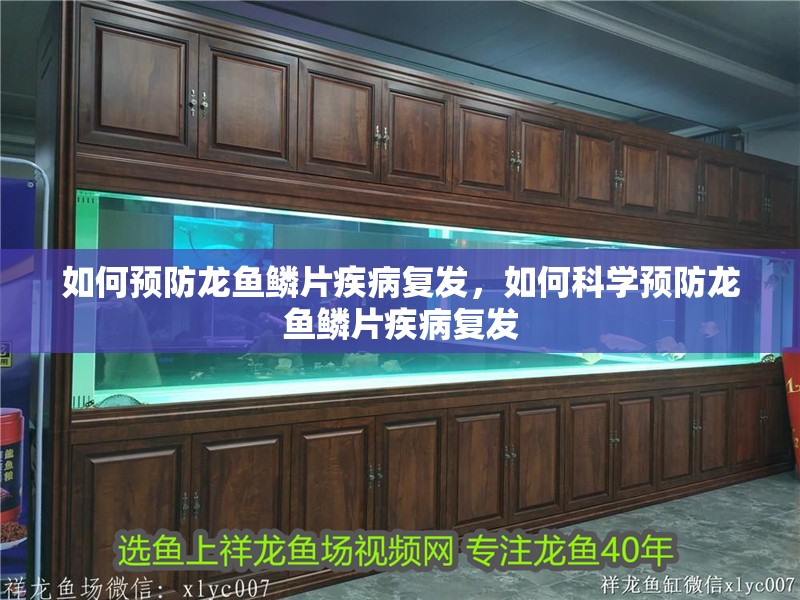 如何預防龍魚鱗片疾病復發，如何科學預防龍魚鱗片疾病復發