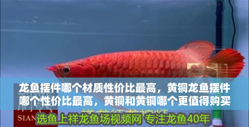 龍魚擺件哪個材質(zhì)性價比最高，黃銅龍魚擺件哪個性價比最高，黃銅和黃銅哪個更值得購買