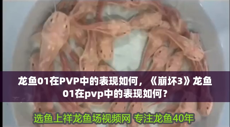 龍魚01在PVP中的表現如何，《崩壞3》龍魚01在pvp中的表現如何？