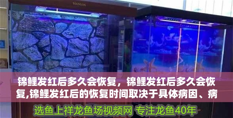 錦鯉發(fā)紅后多久會(huì)恢復(fù)，錦鯉發(fā)紅后多久會(huì)恢復(fù),錦鯉發(fā)紅后的恢復(fù)時(shí)間取決于具體病因、病情嚴(yán)重程度以及處理措施是否及時(shí)得當(dāng)