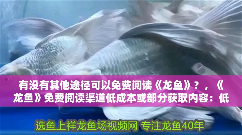 有沒有其他途徑可以免費閱讀《龍魚》？，《龍魚》免費閱讀渠道低成本或部分獲取內容：低成本或部分獲取