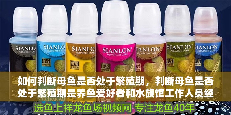 如何判斷母魚是否處于繁殖期，判斷母魚是否處于繁殖期是養魚愛好者和水族館工作人員經常需要掌握的技能