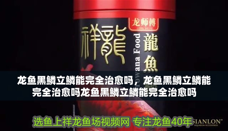 龍魚黑鱗立鱗能完全治愈嗎，龍魚黑鱗立鱗能完全治愈嗎龍魚黑鱗立鱗能完全治愈嗎