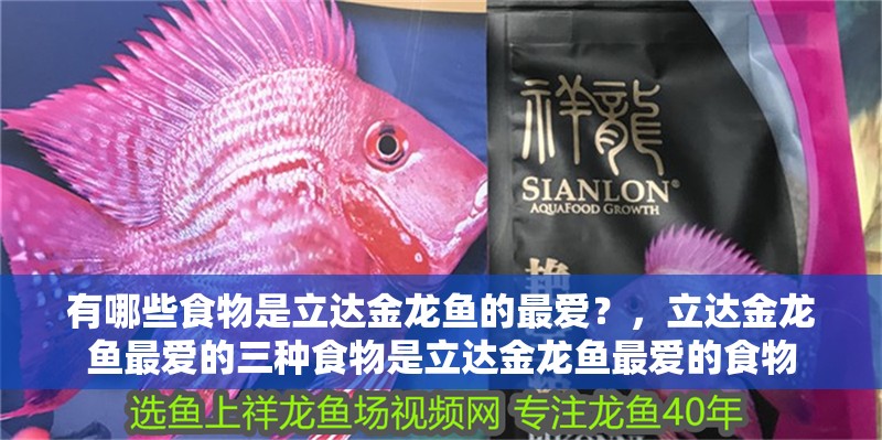 有哪些食物是立達金龍魚的最愛？，立達金龍魚最愛的三種食物是立達金龍魚最愛的食物