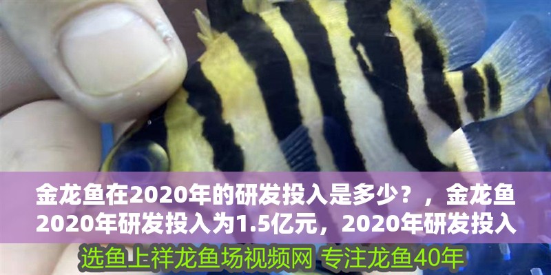 金龍魚在2020年的研發(fā)投入是多少？，金龍魚2020年研發(fā)投入為1.5億元，2020年研發(fā)投入是多少