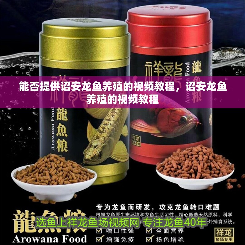 能否提供詔安龍魚養殖的視頻教程，詔安龍魚養殖的視頻教程