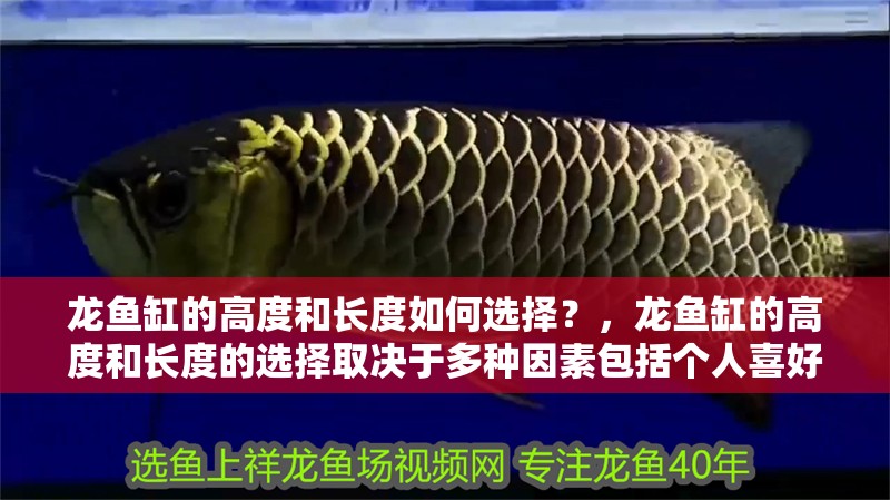 龍魚缸的高度和長度如何選擇？，龍魚缸的高度和長度的選擇取決于多種因素包括個人喜好、空間大小