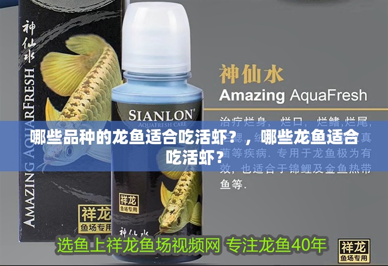哪些品種的龍魚適合吃活蝦？，哪些龍魚適合吃活蝦？